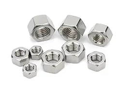 Stainless Steel 310/310S Nuts